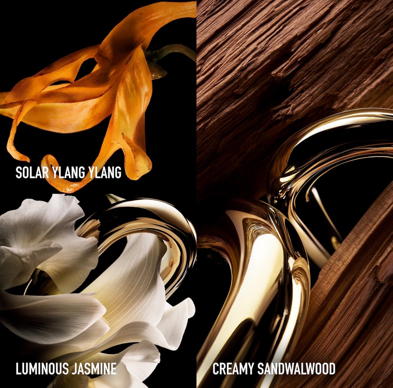 Rabanne Million Gold for Her Parfum 90ML