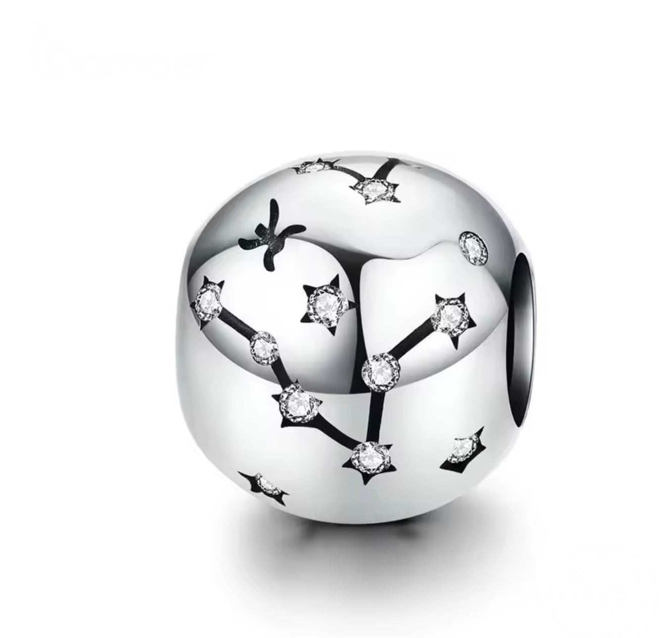Pisces Zodiac Charm