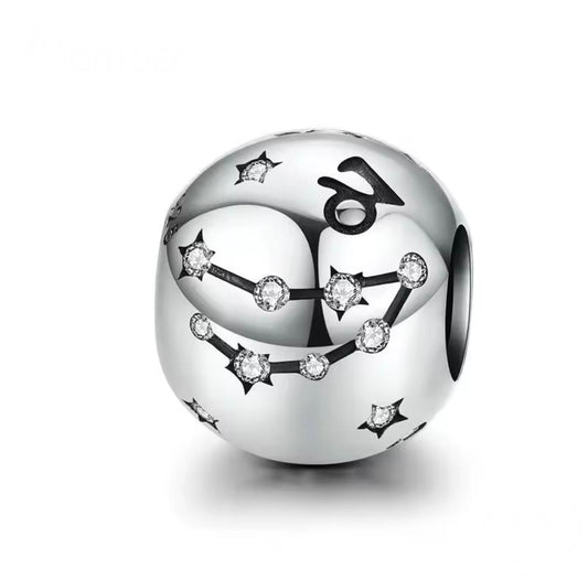 Capricorn Zodiac Charm