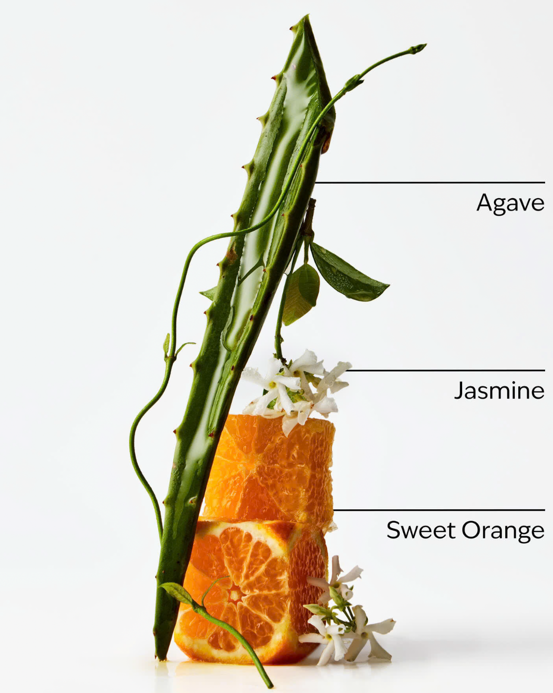 Luxury 4 Wick Candle - Sweet Orange + Agave