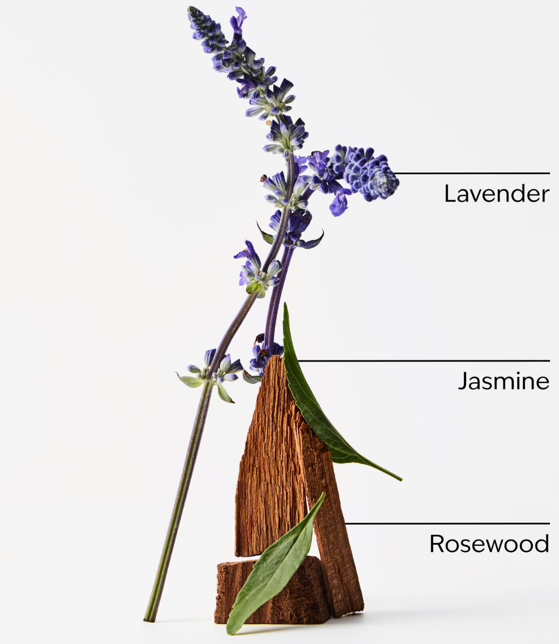 Luxury 4 Wick Candle - Lavender + Jasmine