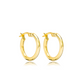Dani Hoop Earrings