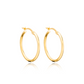 Dani Hoop Earrings